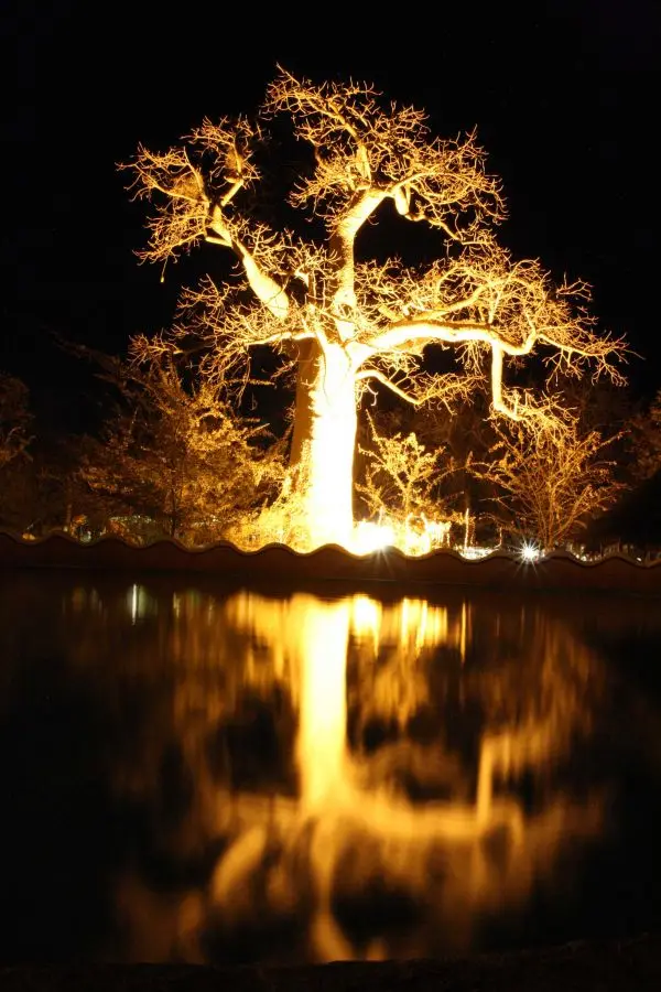 h11c43e6.jpg