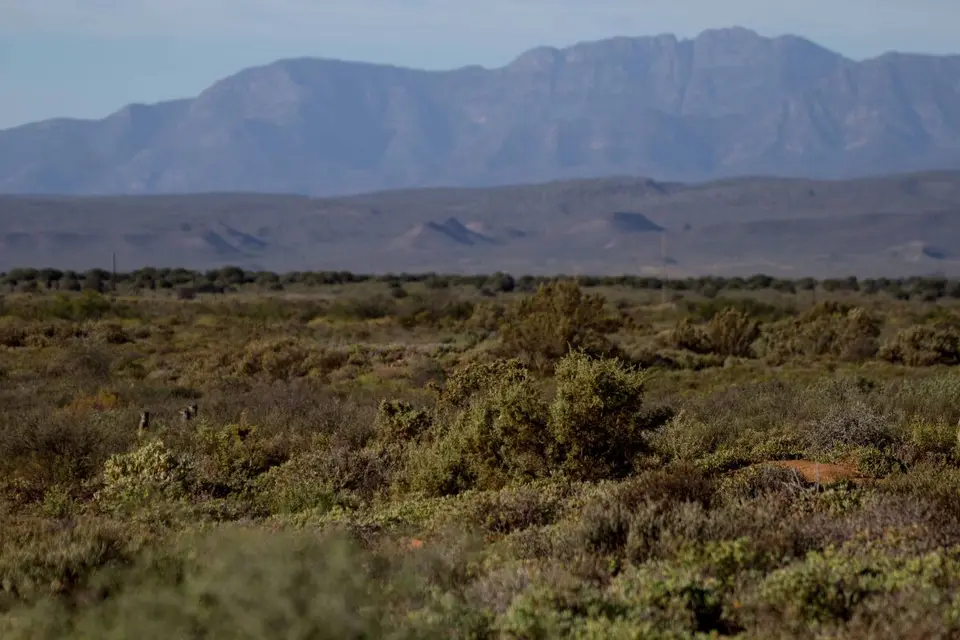 hd8448af.jpg