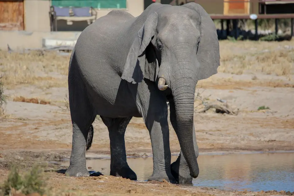 unbenannt-13.jpg