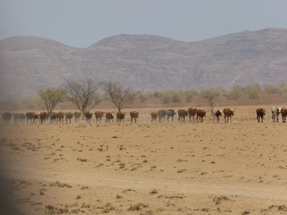 Tag08-0060.JPG
