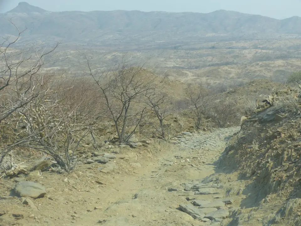 Tag11-0080.JPG