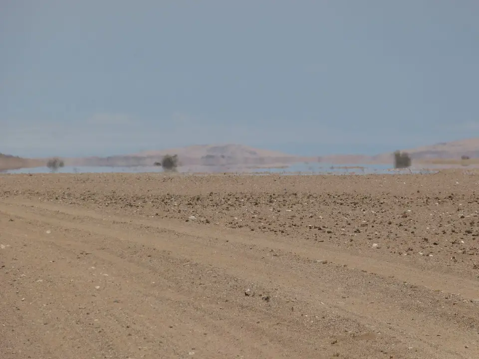 Tag13-0490.JPG