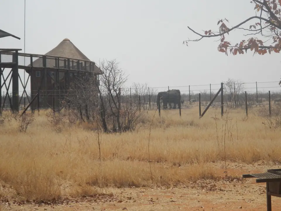 Tag17-1030.JPG