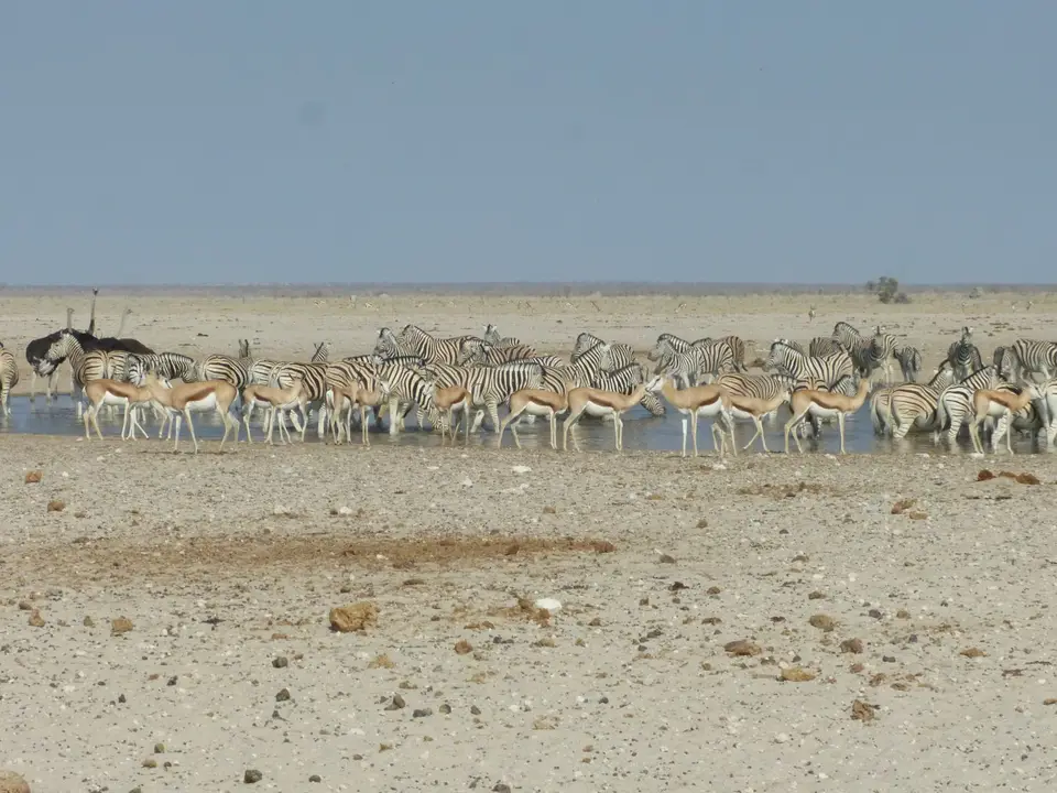 Tag18-0220.JPG