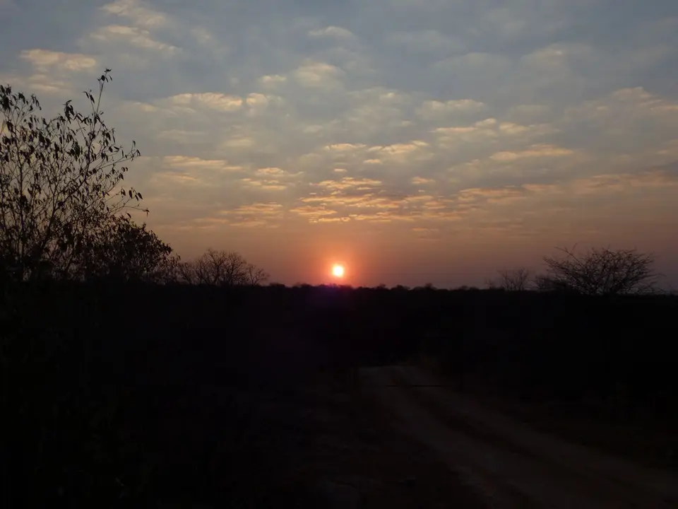 Tag20-0030.JPG