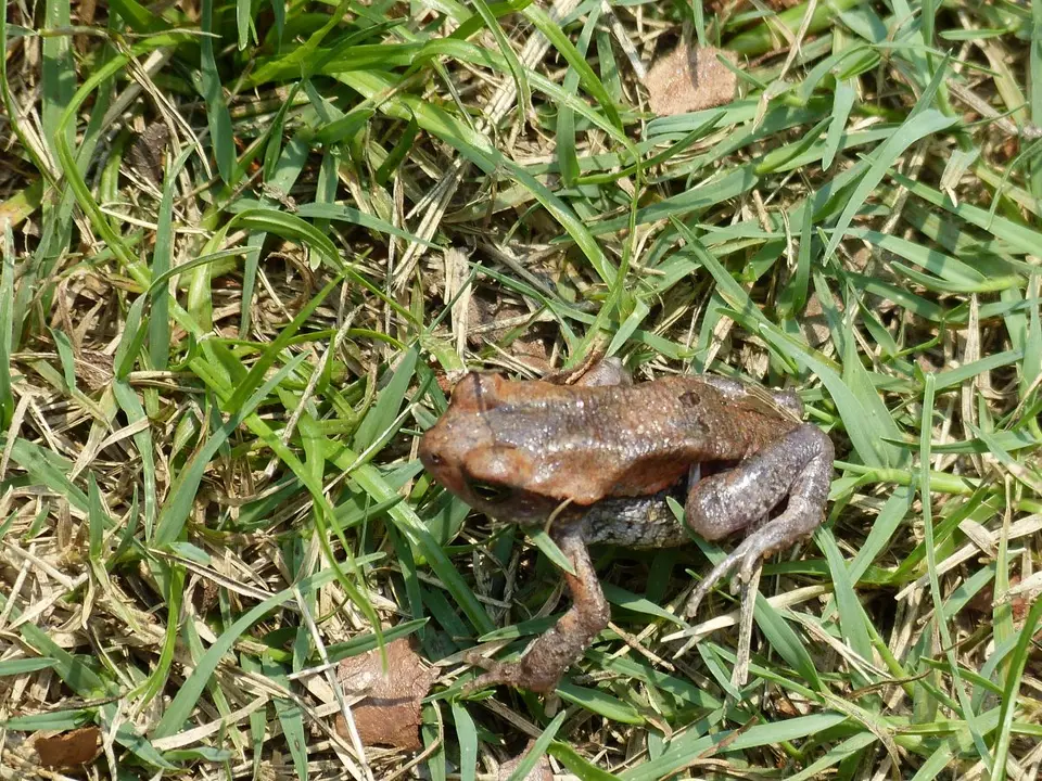 h5681df5.JPG