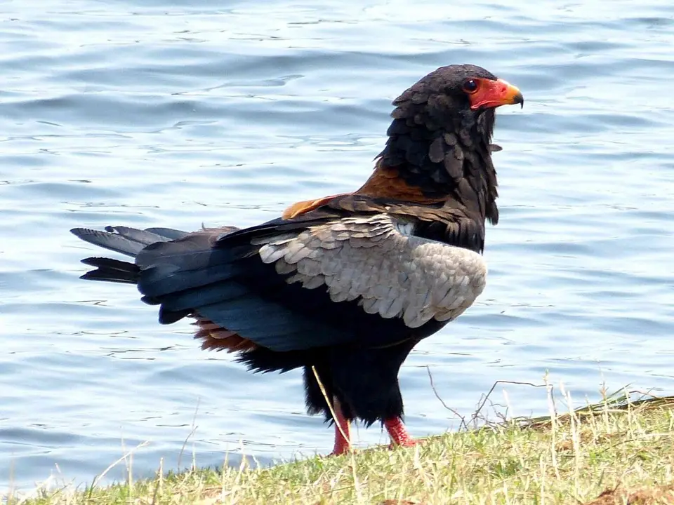 hf18d60f.JPG