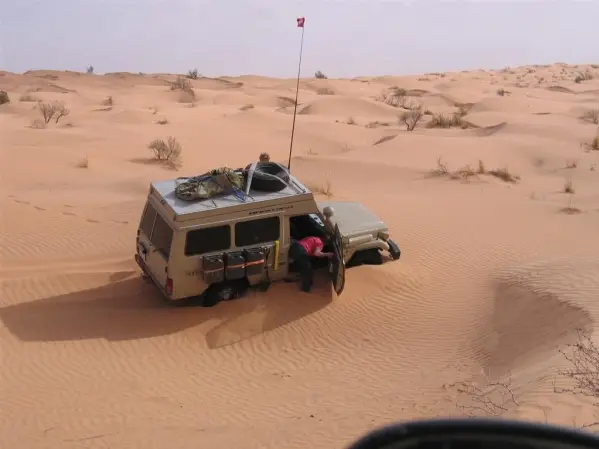 515.jpg