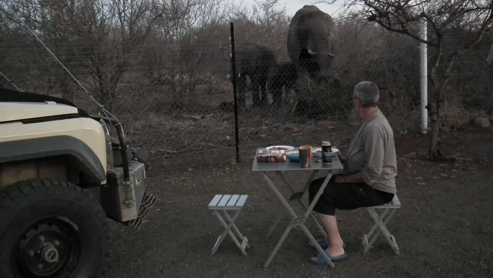 Elefant_Südafrika_KNP_BaluleCamp_DSCF8770.jpg
