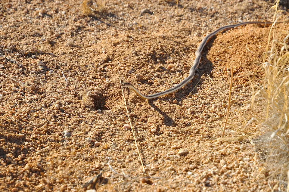 ha625589.JPG