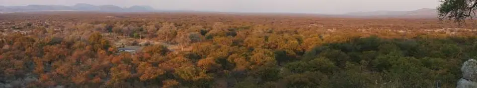 Bambasti.jpg