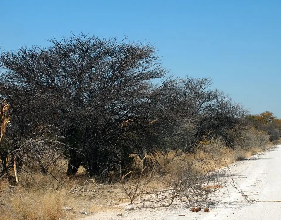 Zwischenablage11_2011-12-13.jpg