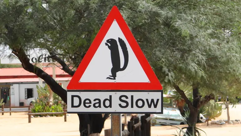 1Erdhrnchenschild.jpg