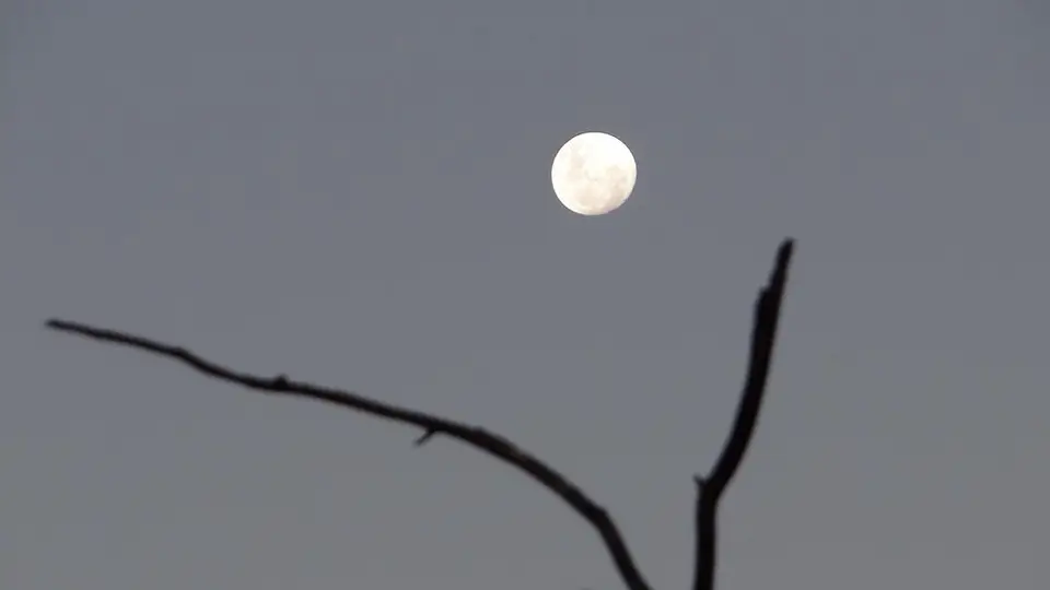 9_2012-11-22-2.JPG