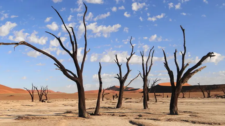 Deadvlei2.jpg