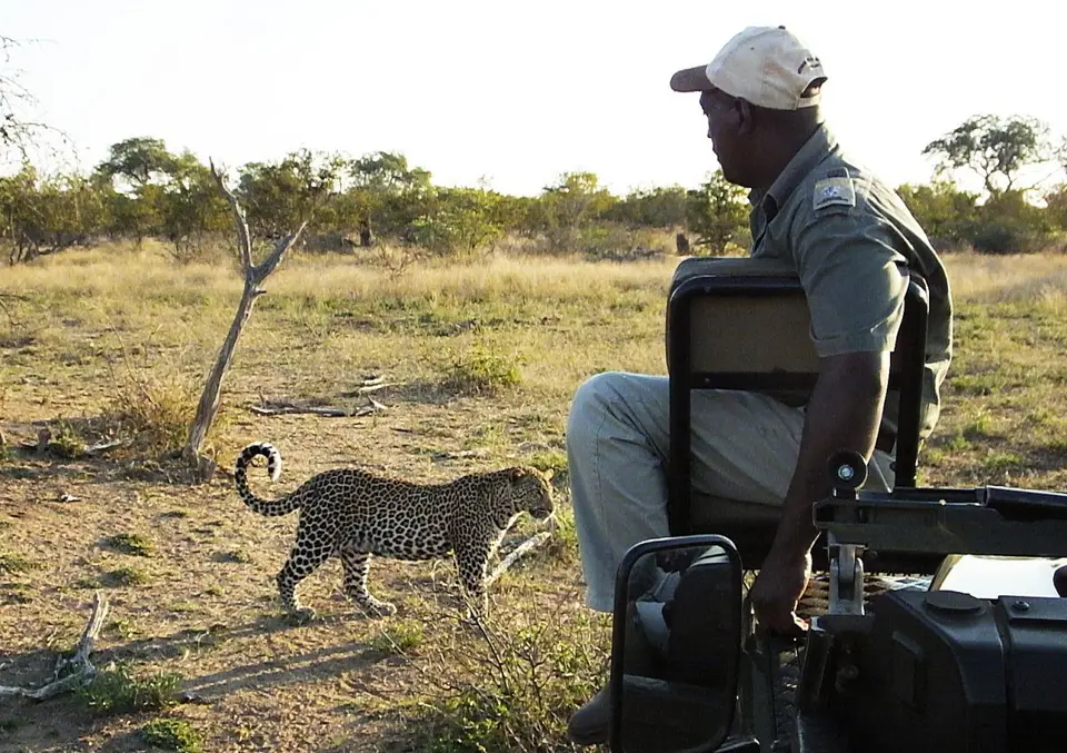 DifferenceundLeopard.jpg