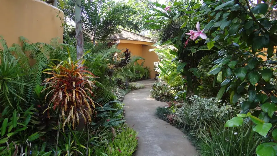 h3643013.JPG