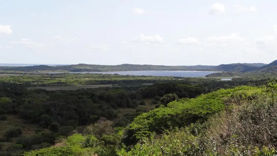 h50f4b62.JPG