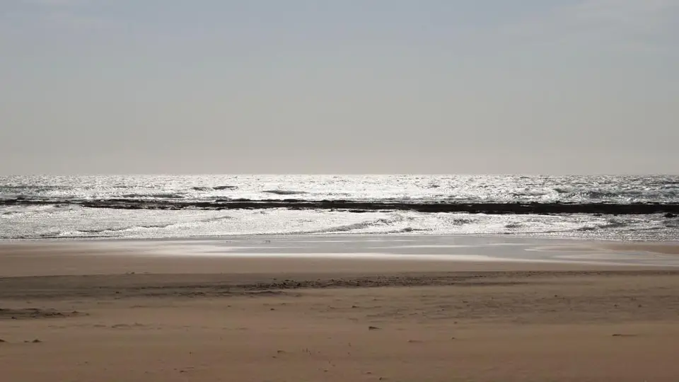 h75b77d3.JPG