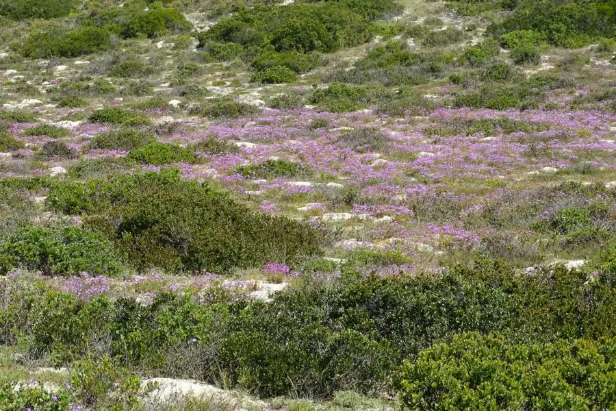 h76b4444.JPG