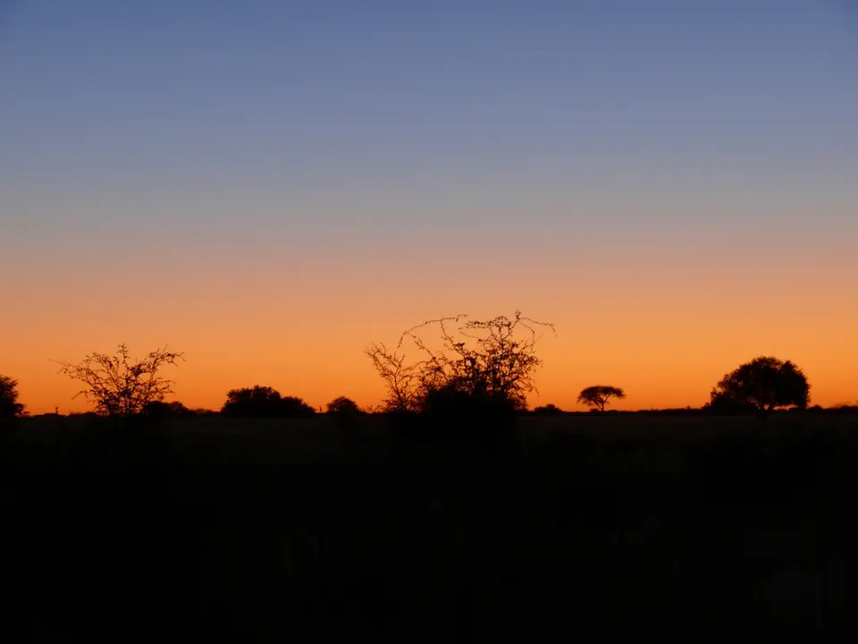 1-P1040341.JPG