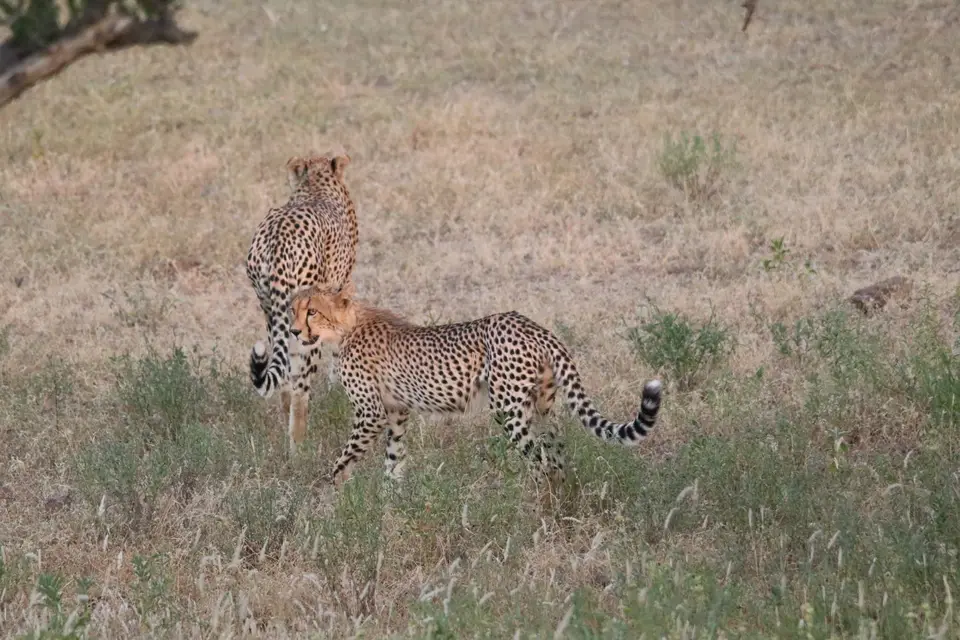 IMG_9383.JPG