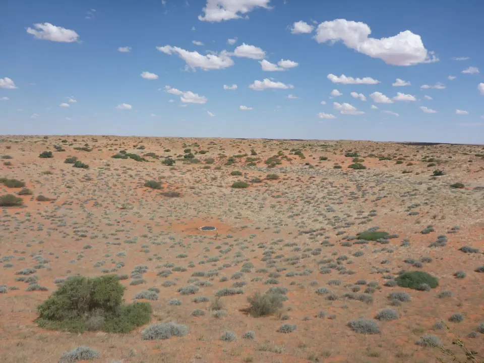P1020177.JPG
