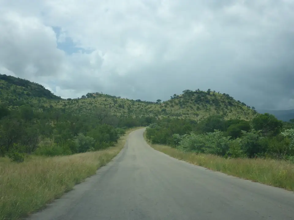 P1020228.JPG