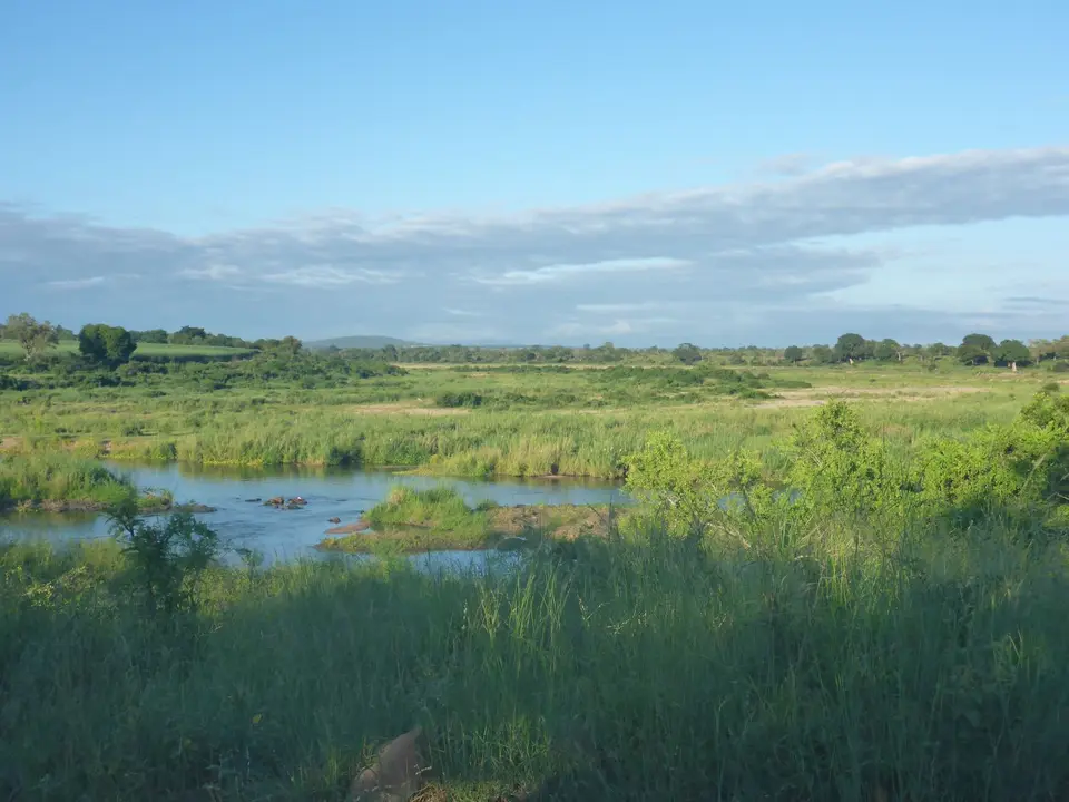 P1020231.JPG