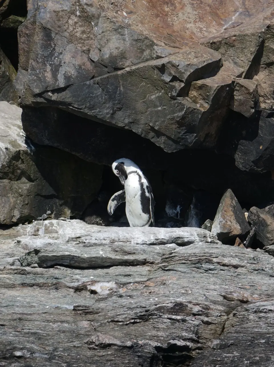 DSC09028.JPG