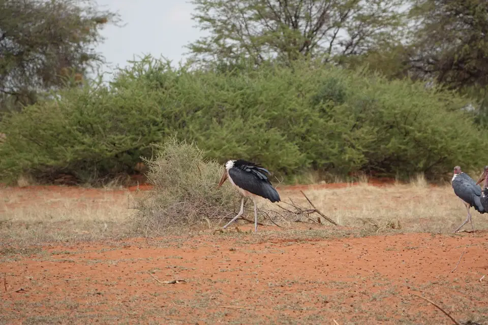 Namibia2018280.JPG