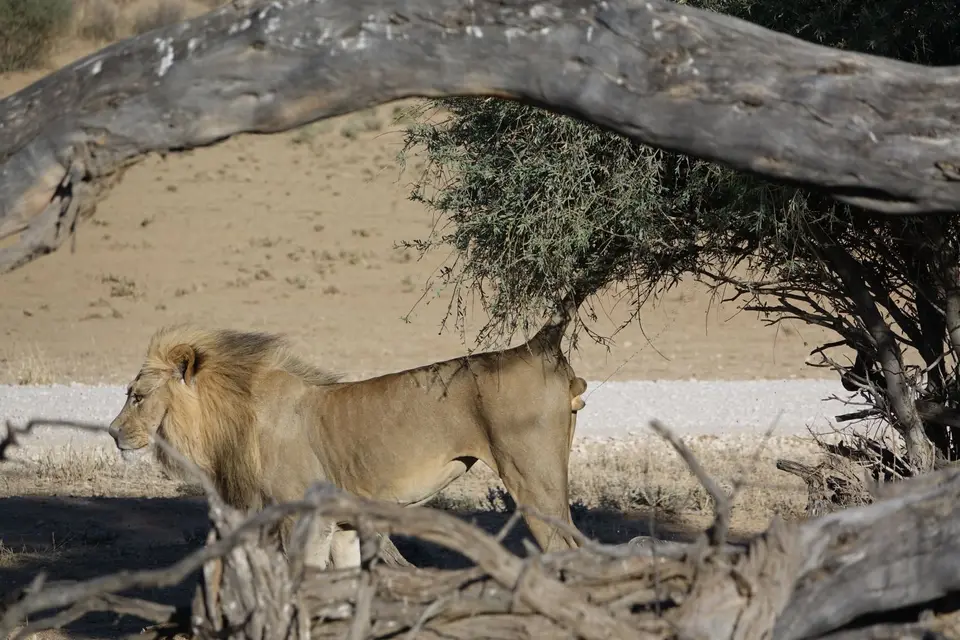 Namibia2018984.JPG