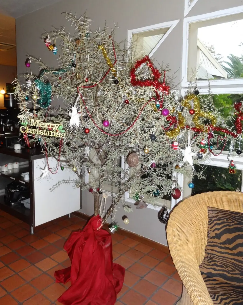 Weihnacht.JPG
