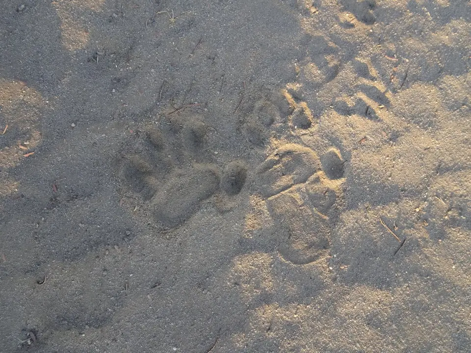 image011.jpg