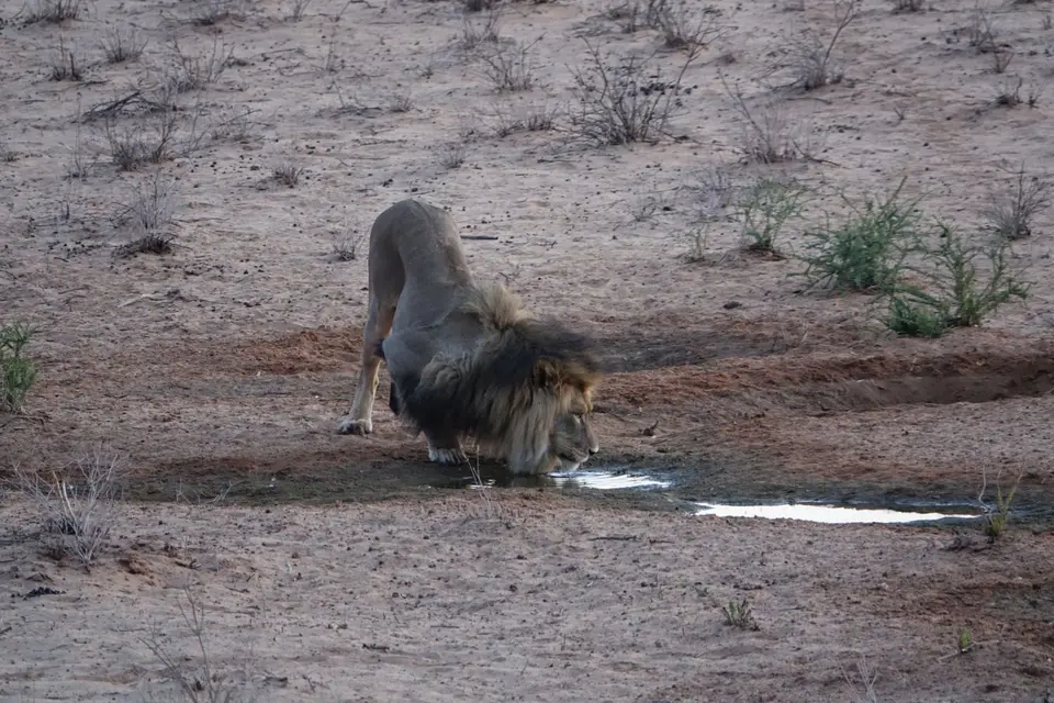 image444.jpg
