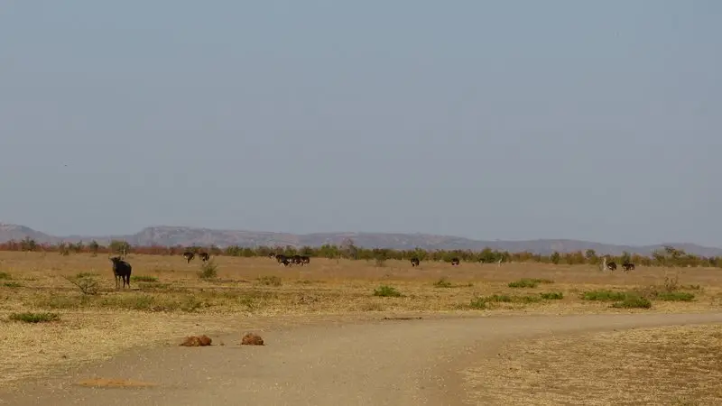 h2803227_2014-02-17.JPG