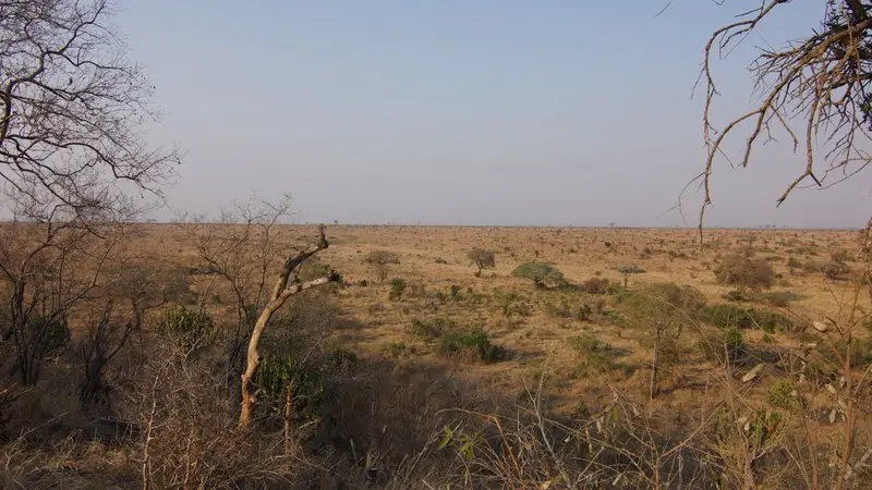 h5093855.JPG