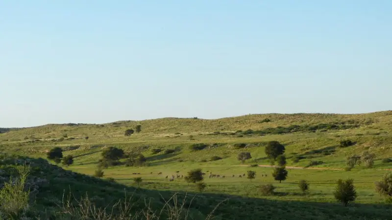 hebb22e5.JPG