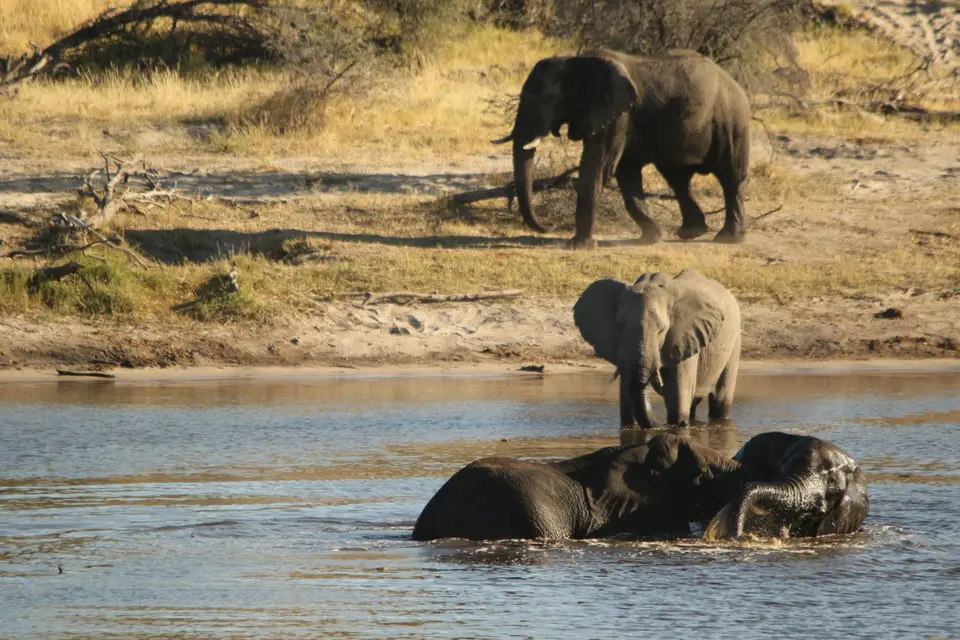 2H1A0156.JPG