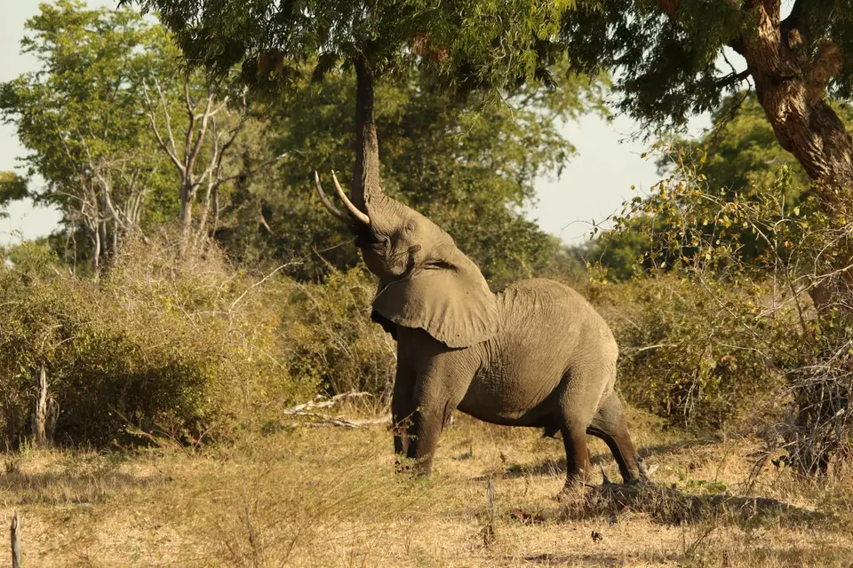 2H1A1724.JPG