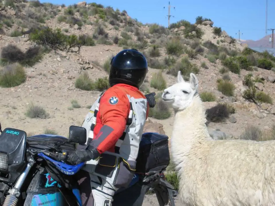 IMG_1295.JPG