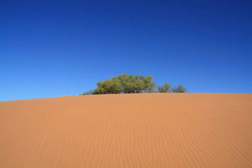 446.jpg