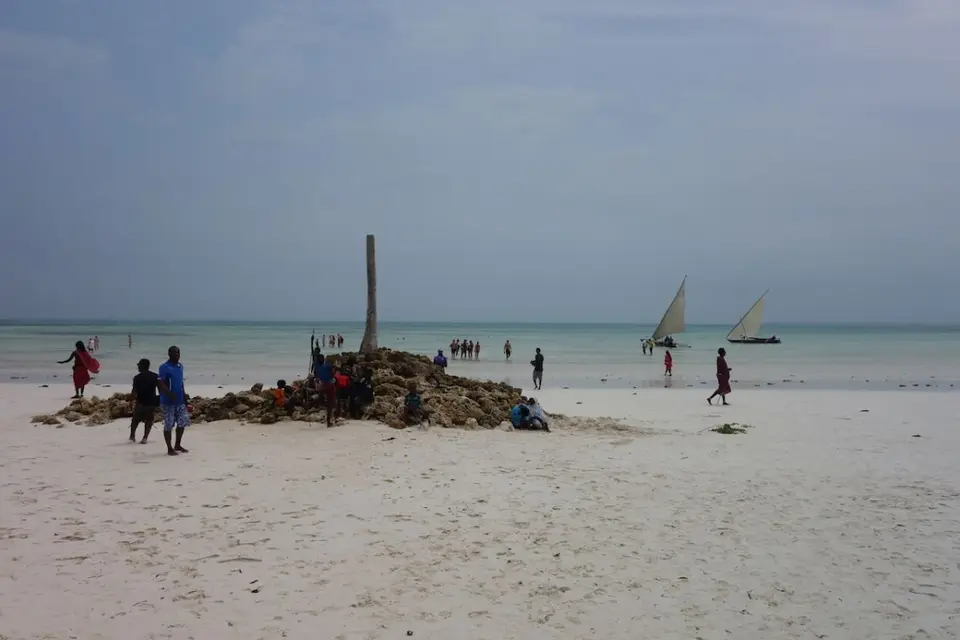 h4377486.JPG