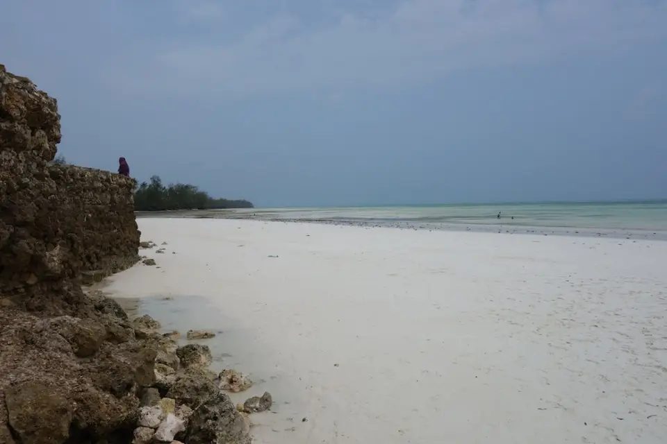h734515e.JPG