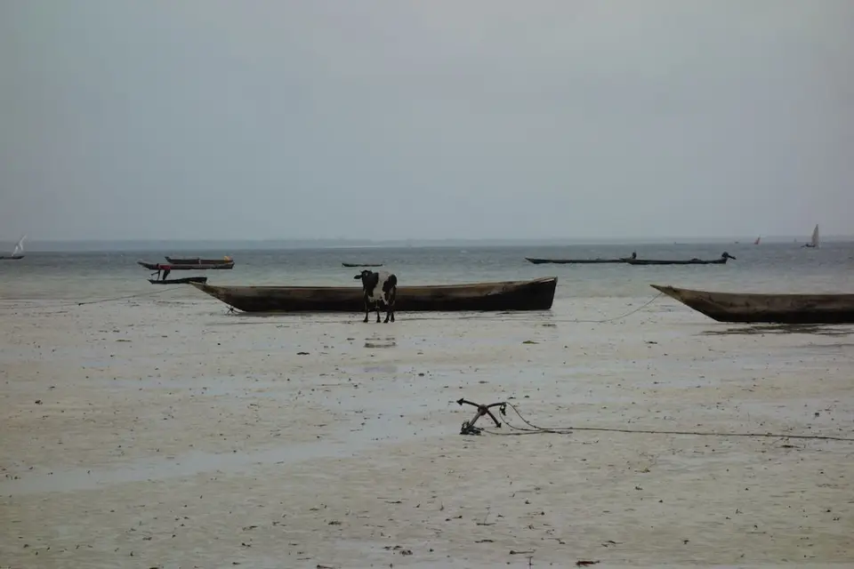 hf50a46f.JPG