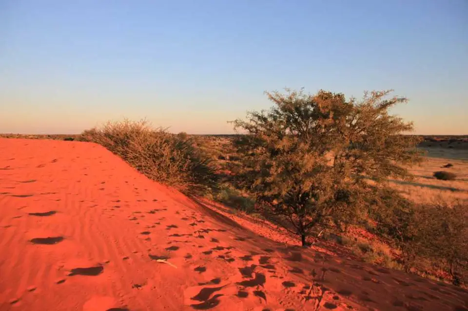 02210-DneinderAbendsonne-Kalahari.jpg
