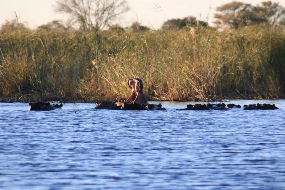 h9331871.jpg