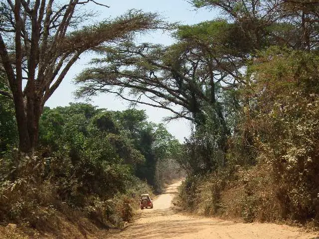 Malawi2010486.jpg