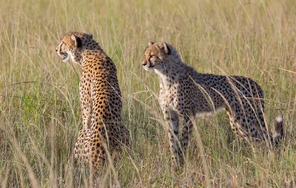 h9d111fb.jpg