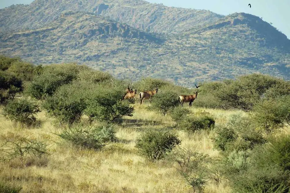 20120527Namibia2.Tag78.JPG